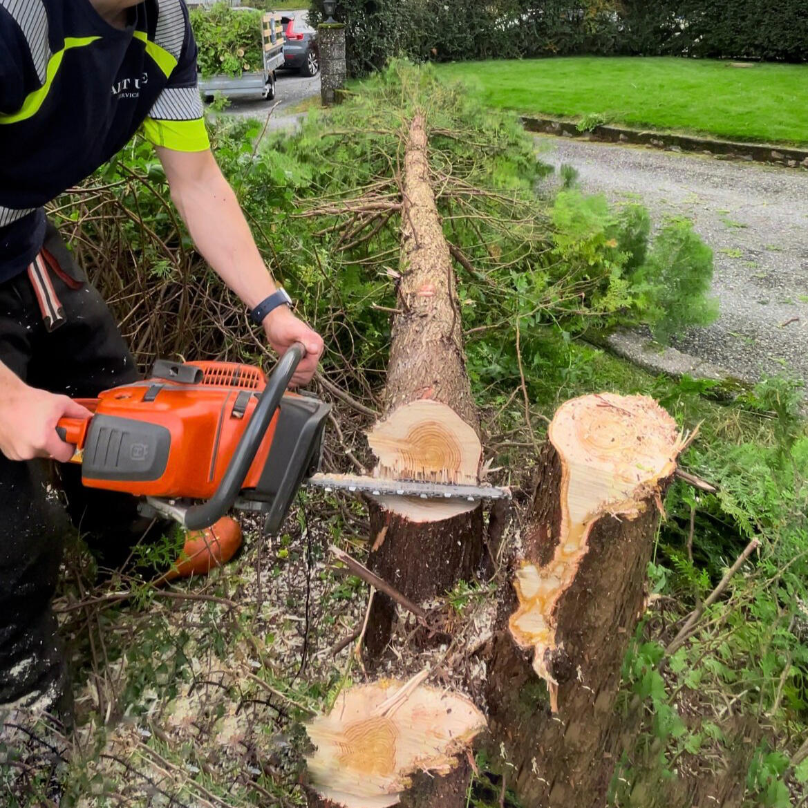 Trefelling